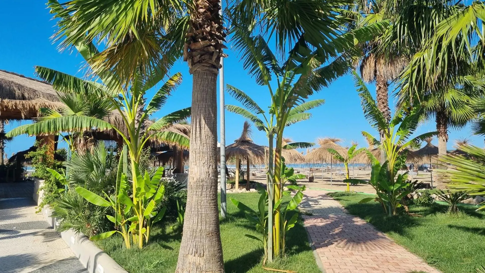Appartement Bay Breeze 293 à Plazhi San Pietro Albanie